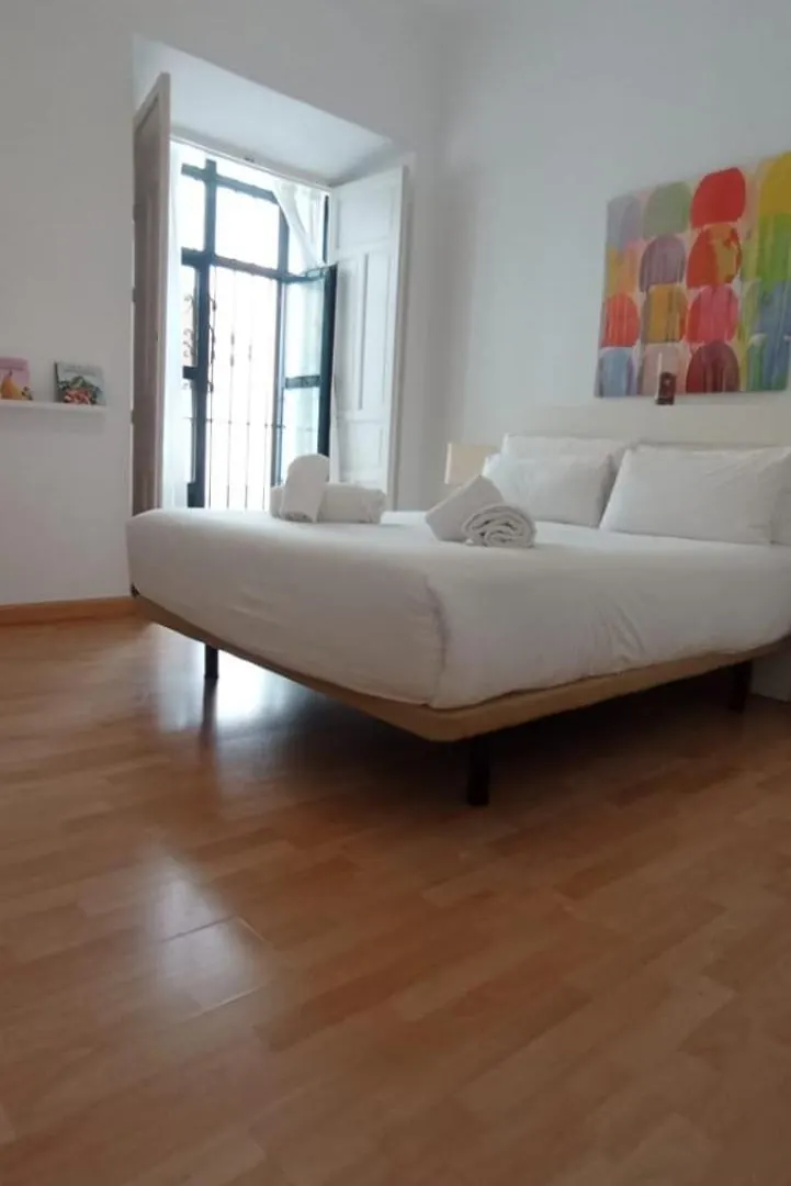 Casas Y Patios De Sevilla Apartment