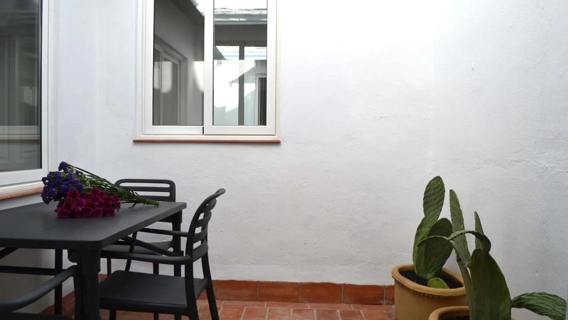 Casas Y Patios De Sevilla Seville